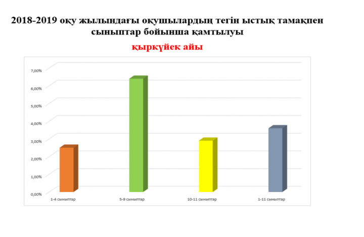 Ә.Бөкейханов атындағы №1 гимназия бойынша  2018-2019 оқу жылындағы оқушылардың тегін ыстық тамақпен қамтылуы